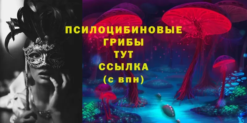 магазин    Балабаново  Галлюциногенные грибы MAGIC MUSHROOMS 